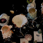 Handmade Seashell Conch Wine Glass-3