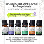 Ultimate Wellness Bundle