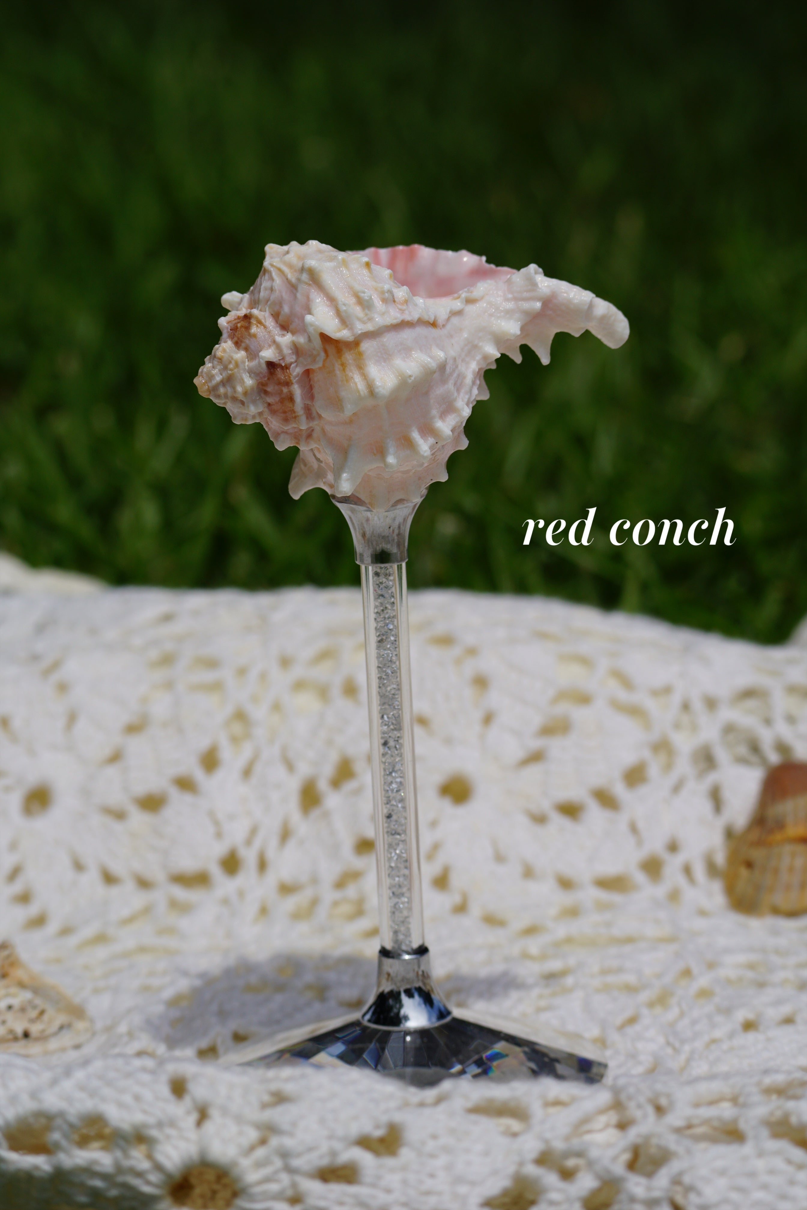 Moontide Chalice Glasses