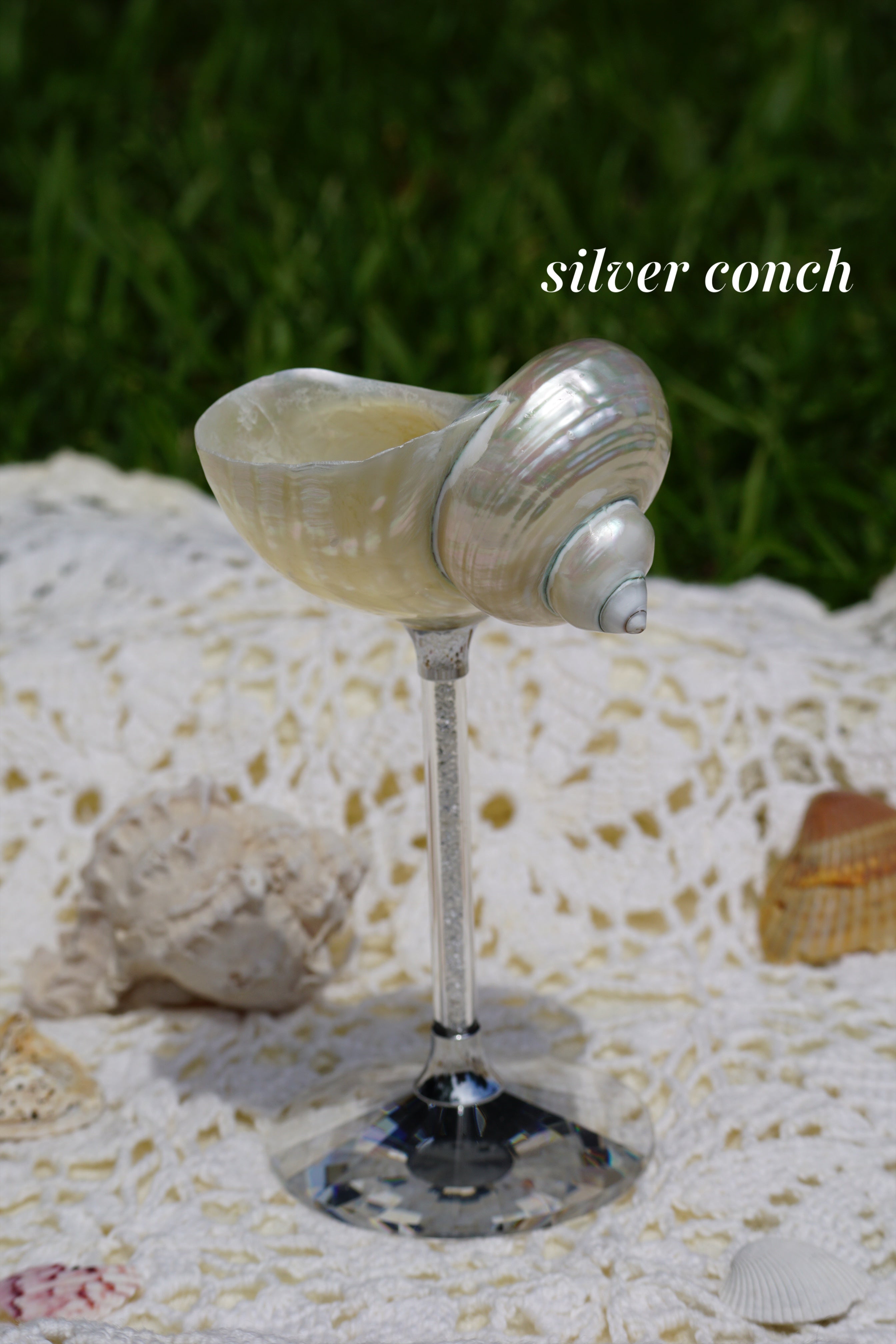 Moontide Chalice Glasses