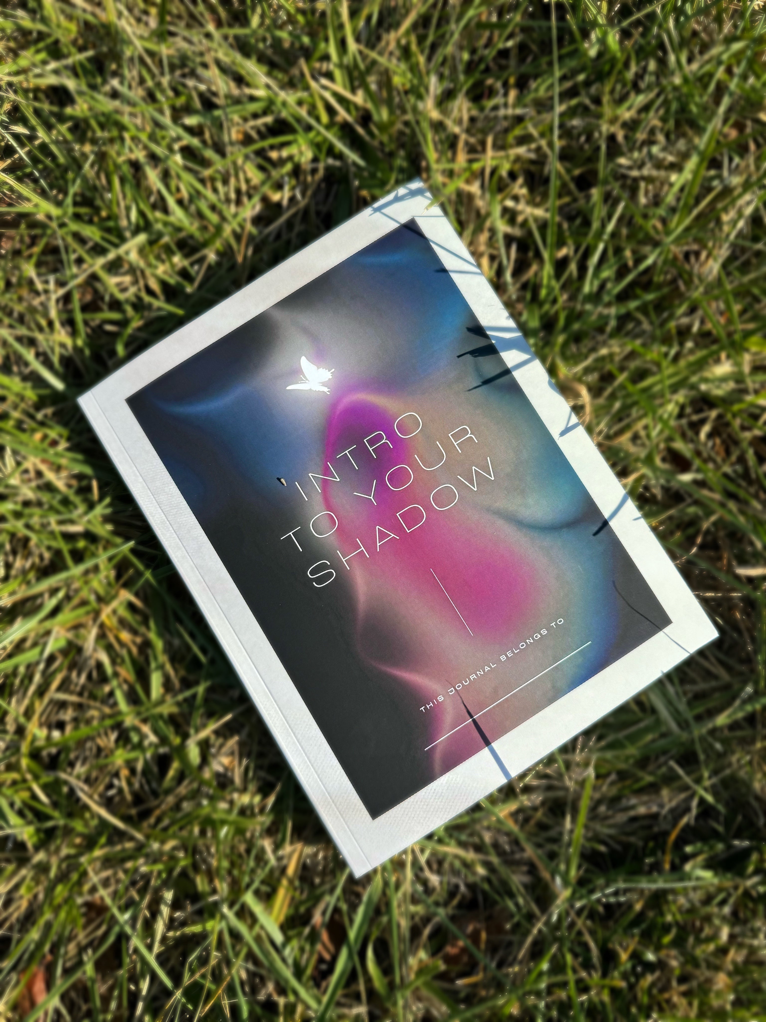 Sunroom Shadow Work Textbook