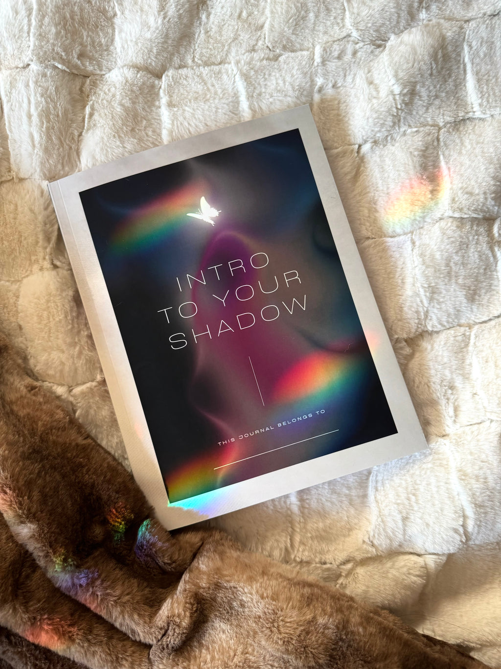 Sunroom Shadow Work Textbook
