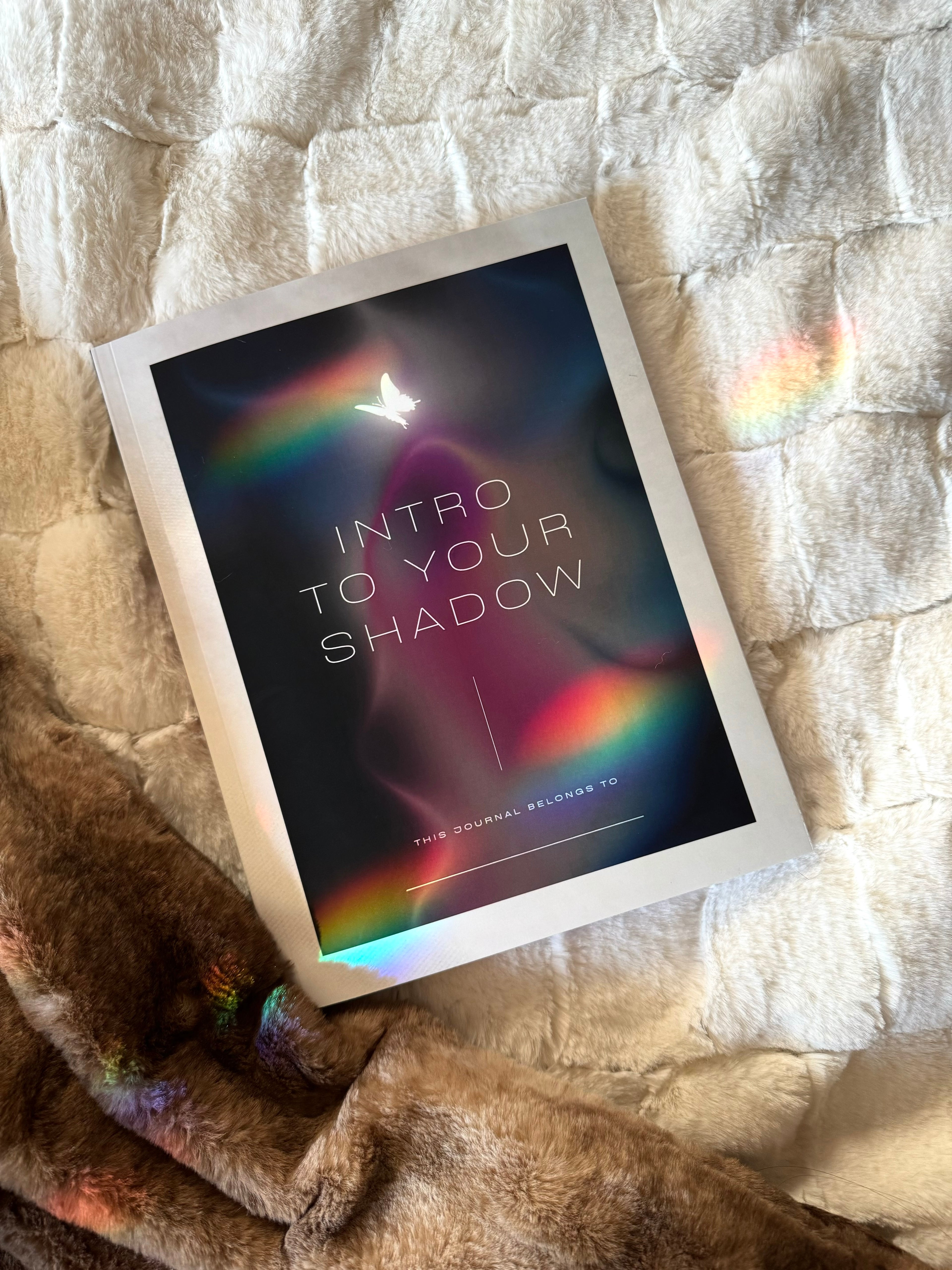 Sunroom Shadow Work Textbook