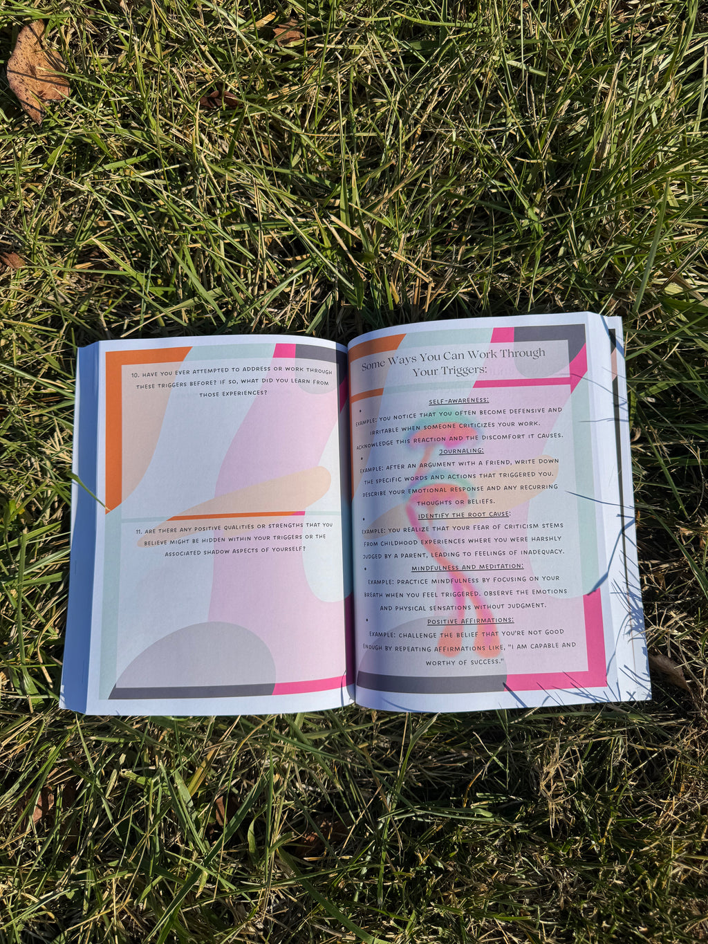 Sunroom Shadow Work Textbook