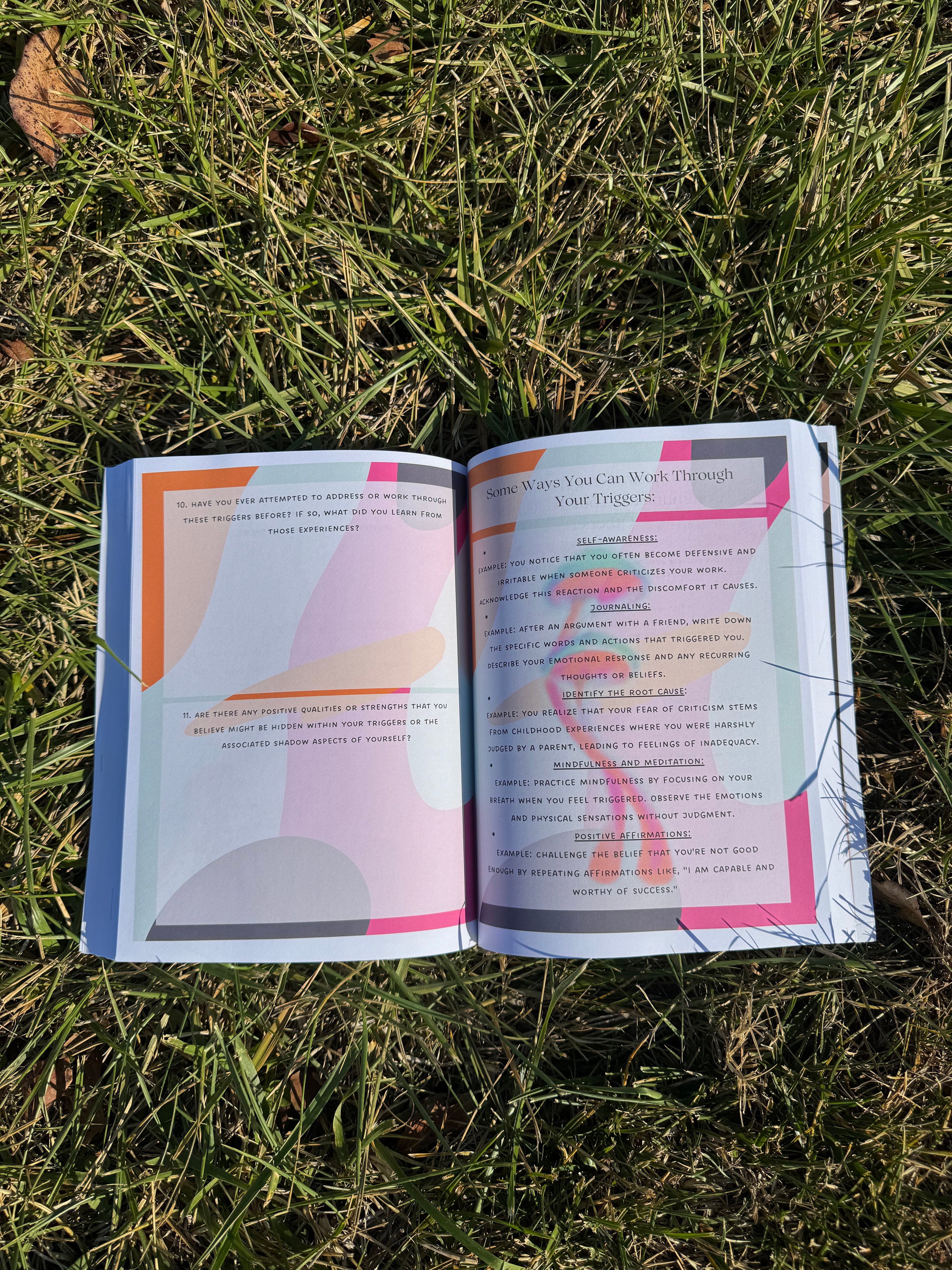 Sunroom Shadow Work Textbook