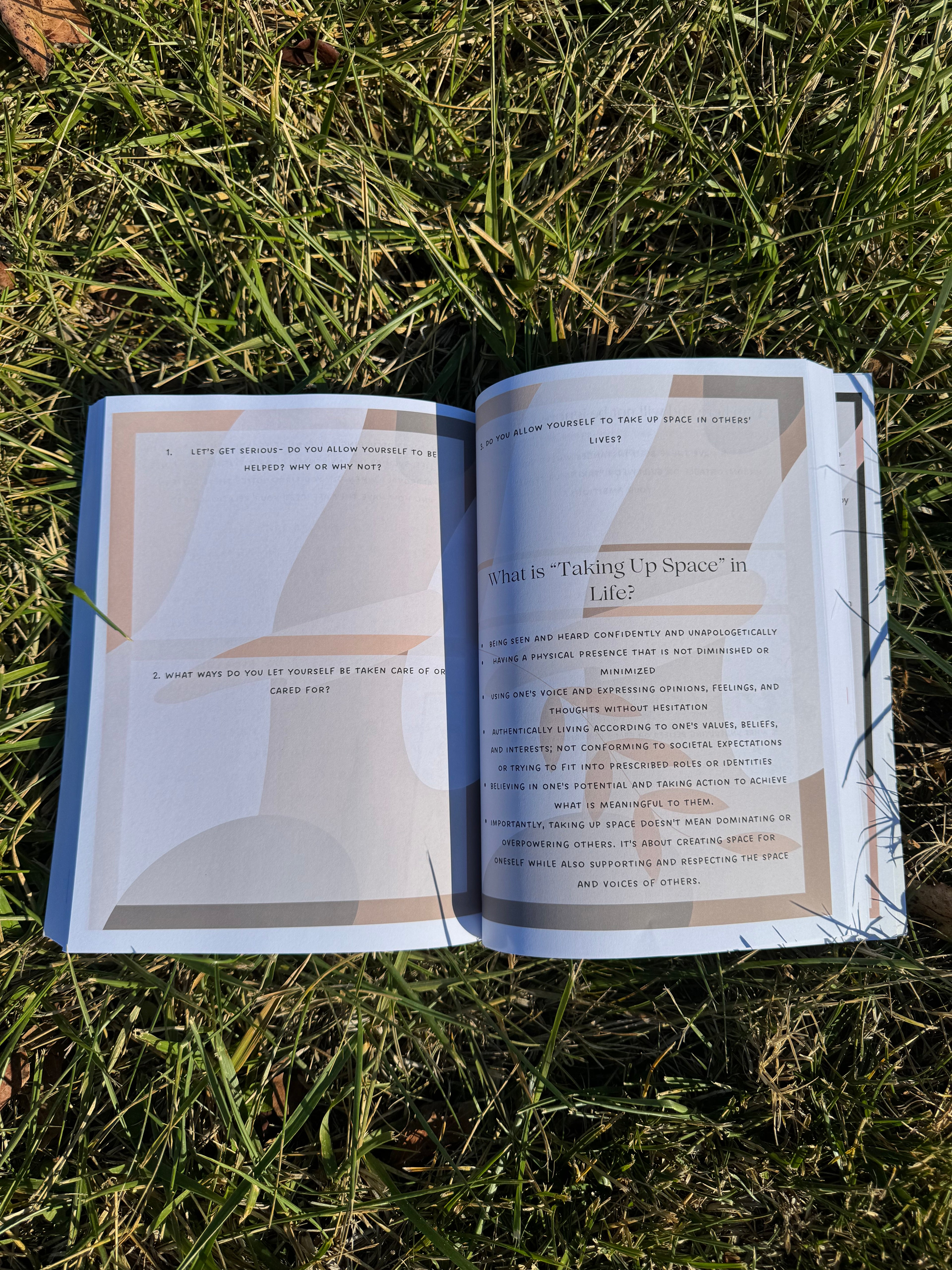 Sunroom Shadow Work Textbook
