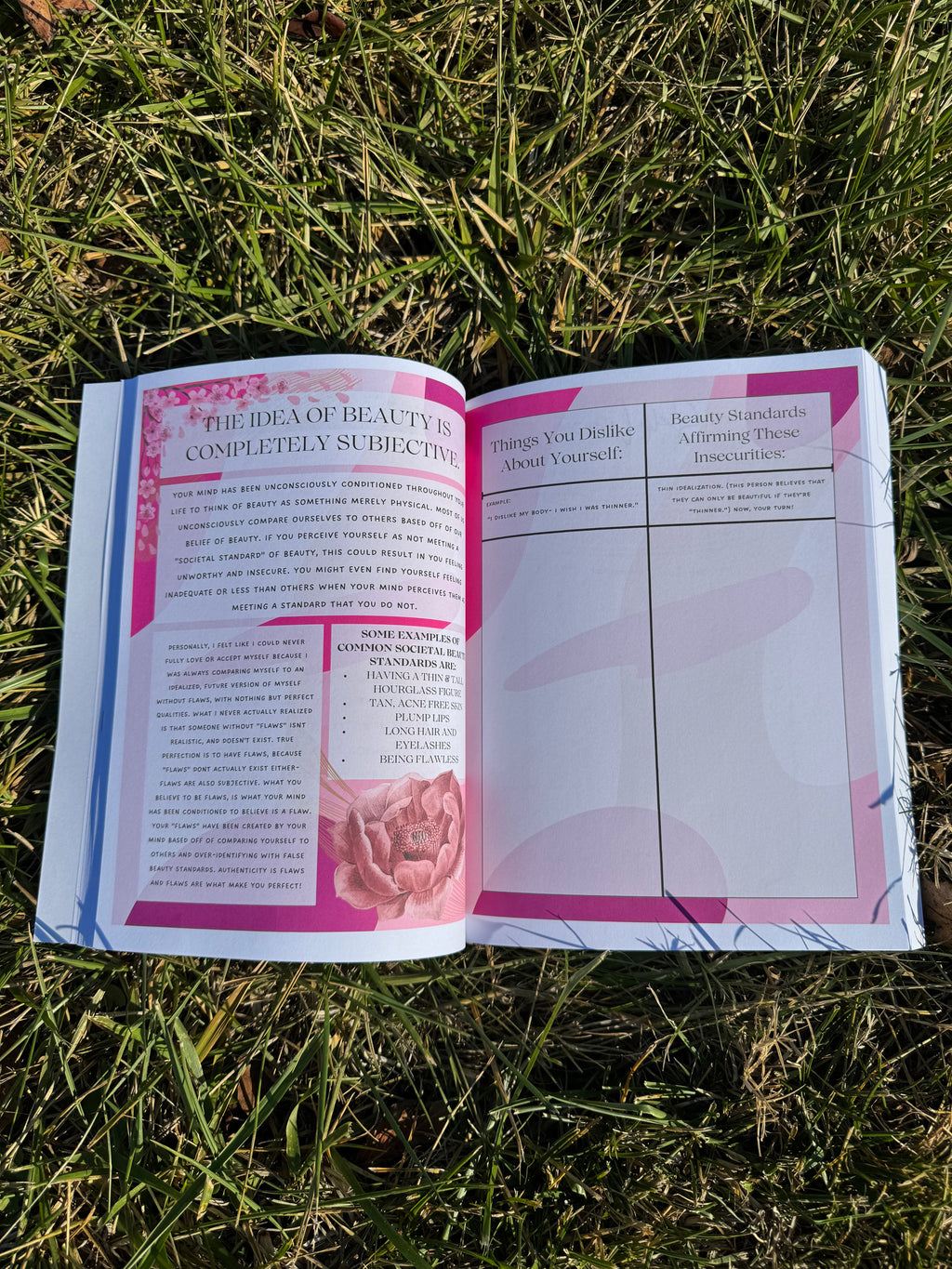 Sunroom Shadow Work Textbook