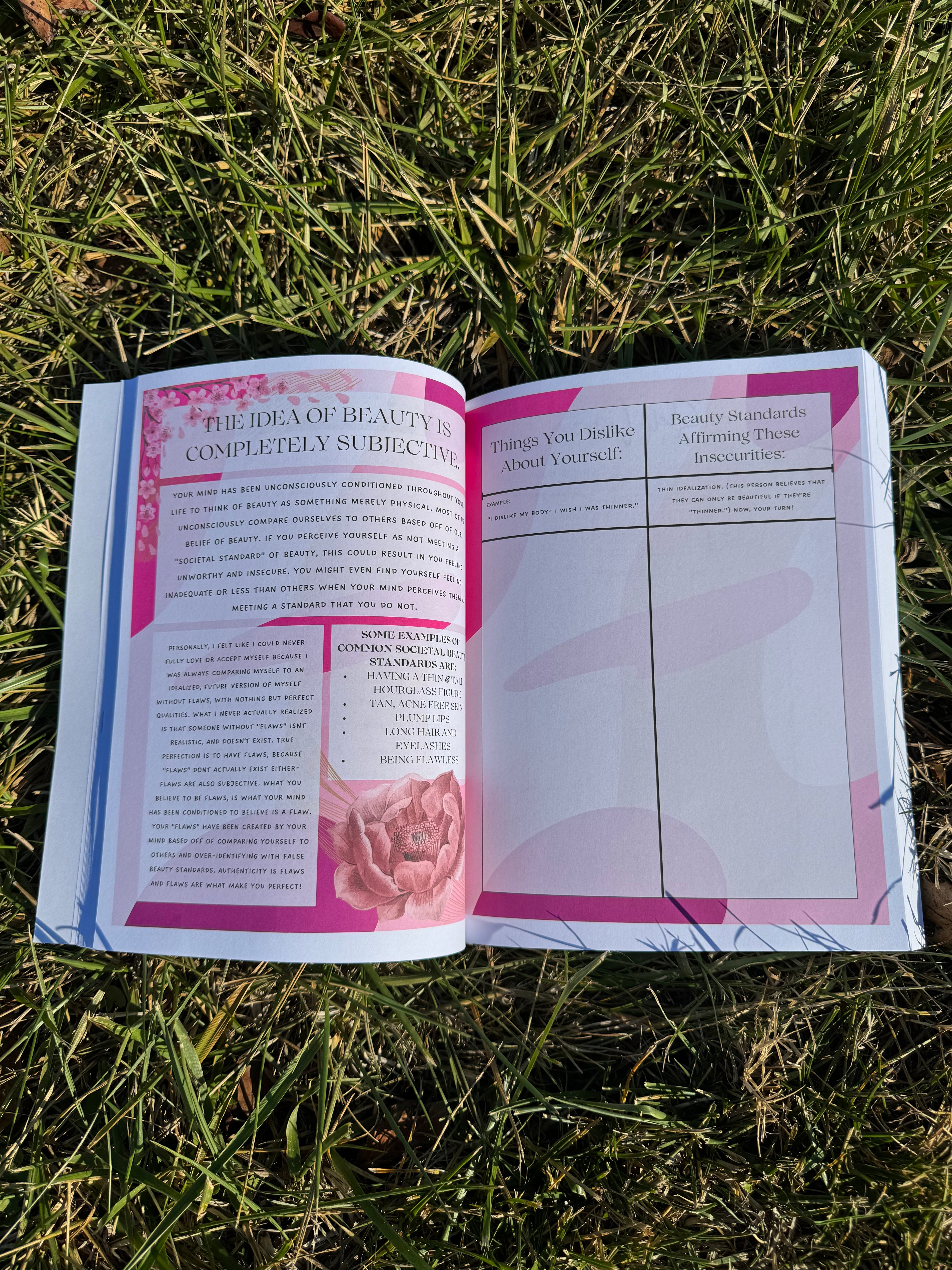 Sunroom Shadow Work Textbook